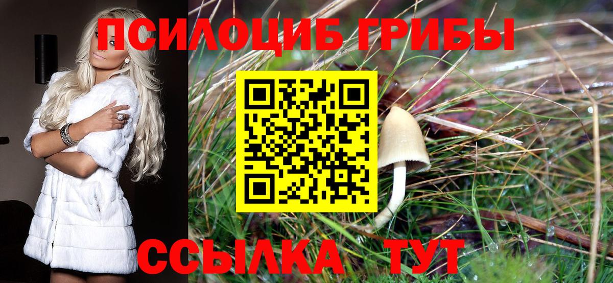 Галлюциногенные грибы Psilocybine cubensis  Вход с VPN  Ликино-Дулёво 